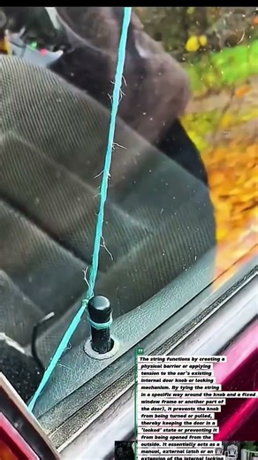 Car Lock Hack: Secure Your Ride with a Simple String!