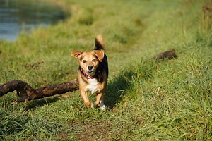 Excel-VBA基础（4）：菜单栏及各类窗口介绍