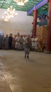 A young Chinese Shaolin monk showcases incredible feats of precise balance and insane flexibility 👶🏻🤸‍♂️#AmazingChina | People's Daily, China