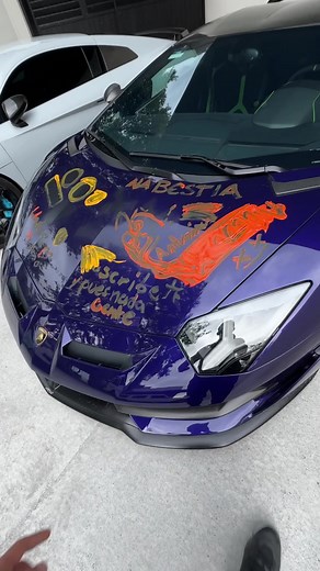 Increible el daño que le hicieron a mi Lamborghini… 😭🤦🏻‍♂️ | thedonato