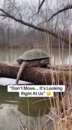 Is this a Real Kappa Sighting? 🐢 We were filming near the river when we spotted this strange, humanoid creature crouching on a floating log. It fits the description of a
