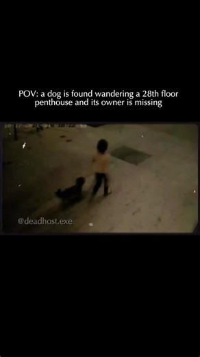 On October 17, 2021, 39 year old mother Heidi Sue Planck disappeared after leaving her 10 year old son’s football game early in Downey, California. Her silver 2017 Range Rover was later found abandoned near a luxury high rise in Downtown Los Angeles. The most disturbing clue surfaced hours later when her labradoodle, Seven, was found wandering alone on the 28th floor of the Hope and Flower apartment building. Heidi had no known connection to the high security complex and was never seen on survei