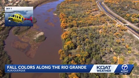 Fall colors illuminate the Rio Grande in New Mexico