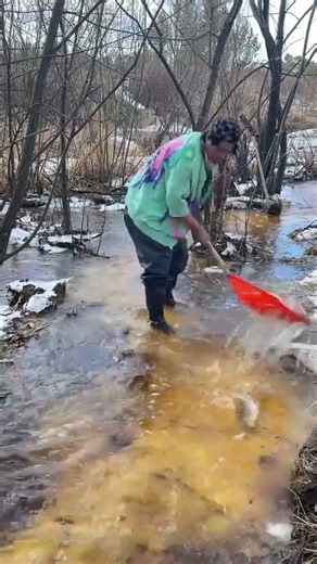 Winter Fishing Joy, Nature, Snow & Big Fish #fisch c#shorts