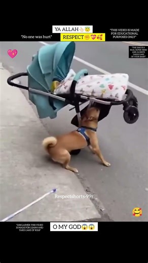 Always take care of your baby 👆🏻😇 #allah #shorts #status #respect