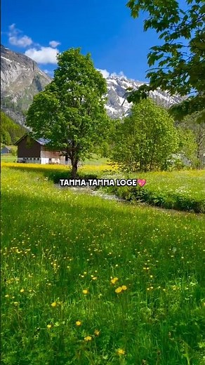 Tamma Tamma 💖✨ ("from dhurandar the revenge"#lyrics #bappilahir #anuradhapaudwal#indeever#yt