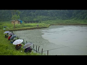 नागालैण्ड (नागालैंड) भारत।—[Rural Village Area Life in Nagaland]—Hindi Informative Video—EP#23