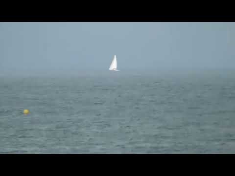 Boats from the train June 2025 on Belfast Lough