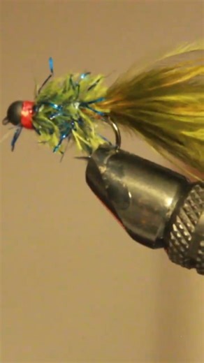 The only fly you need! #shorts