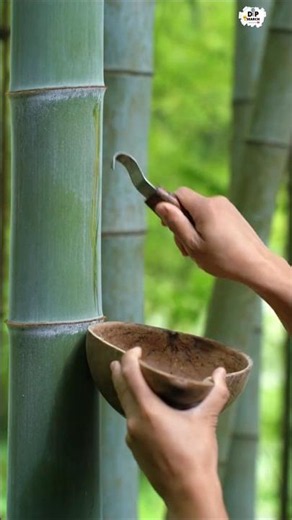 Bamboo Turns Into Noodles! 😱🍜
