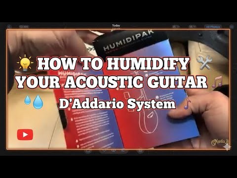 How To Humidify Your Acoustic Guitar with D’Addario System