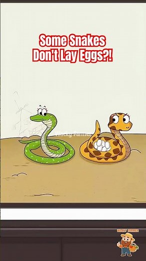Wait, Some Snakes Don't Lay Eggs?! 🐍 (Science Explained) #wackyfarmer