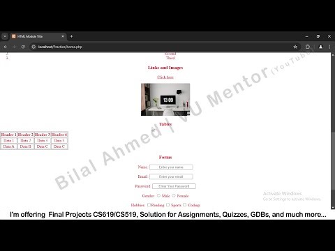 Module 2 (CSS) - Final Project CS619 Prototype/Test Phase and Final Viva Viva Preparations by Bilal