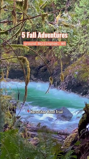 Fall Adventures Around Bellingham, WA