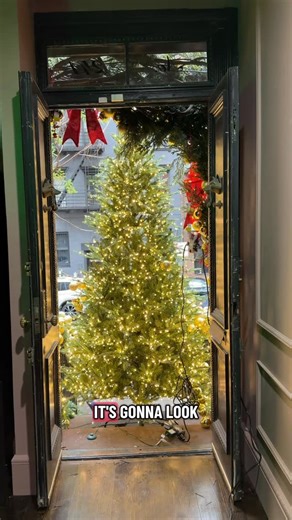 @stoopandthecity on Instagram: "Something BIG is coming! 🎄🎅🏻✨"