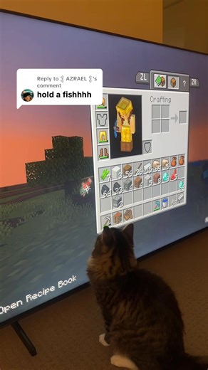 Replying to @𒉭 AZRAEL 𒉭 … he’s apparently really into the fish 😂😅 #cattok #Minecraft #kitten #catsoftiktok #fyp