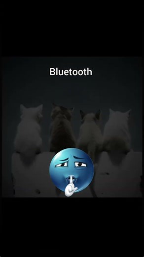 Cats bluetooth/sync Moments☠#cat#sync#bluetooth#trollface #edit