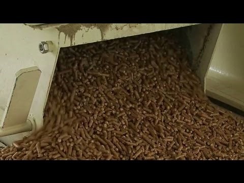 Bois énergie - La filière granulés