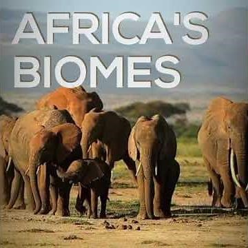 Africa's biomes