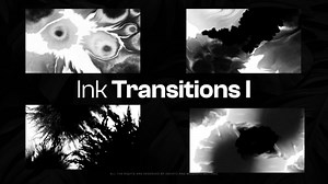 20 Ink Transitions I