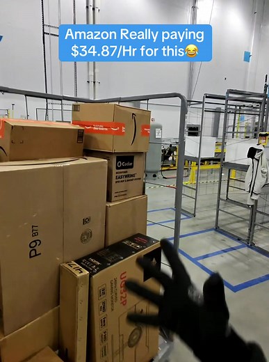 Experiences of Amazon Workers During Peak Season
