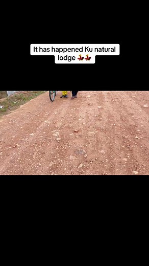 Laugh Out Loud with Lucky's Comedy Funny Videos