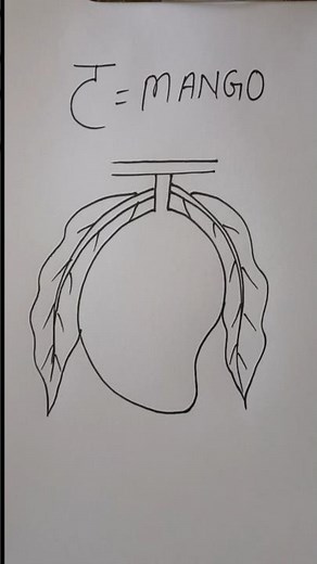 how to draw mango easy for beginner