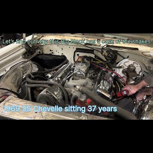1969 SS Chevelle Big Block 1969 “Why Is This Engine Shaking?” Been sitting 37 years little 🫨 shakey