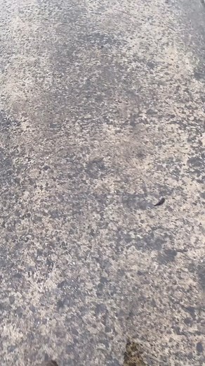 1.5M views · 10K reactions | It’s just a jokes #Alabama #southern #comedy #jokes | Josh Mullen | Facebook