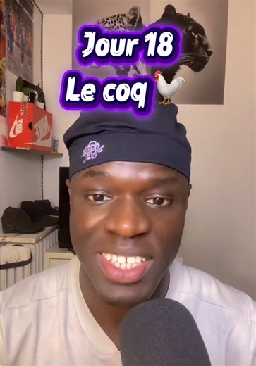 Leçon de vie : le coq nous guide vers le droit chemin