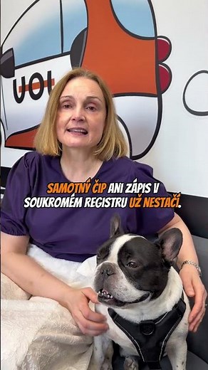 Registrace psů | účetní minutovky od Jany ☕