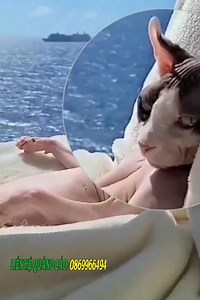 215K views · 2.5K reactions | Secret moments in life that have never been revealed | Media 5 | Facebook