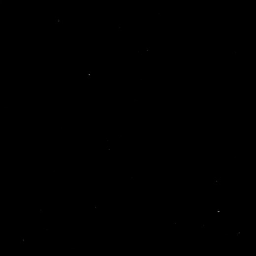 90MH Trefuego: Letra y Traducción