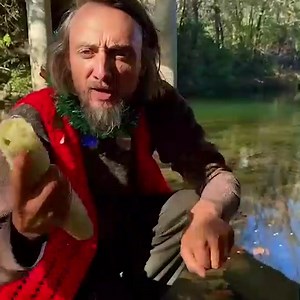 The Amazing Luffa Gourd – Grow your own natural sponge! 🌱 This fast-growing, versatile plant produces long, fibrous gourds perfect for eco-friendly sponges and scrubbers. Easy to grow and fun to harvest—beauty and utility in one amazing vine! 🌿🧽 | Baker Creek Seeds