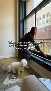 Mornings after a night out are rough enough, and living in an apartment with a dog makes them even trickier. This weekend, letting my dog use DoggieLawn on the balcony made everything so much easier. It sets up in minutes, lasts a few weeks, and my dog took to it right away. It’s real grass for dogs to pee on, no plastic smell, and it keeps mornings relaxed, especially on rainy or cold days. Definitely one of the best solutions I found for us ever since we moved into an apartment. We love our Do