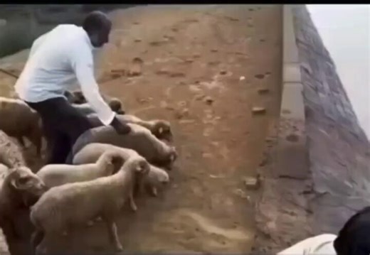 【動画まとめ】大炎上bot (@ejyou_bot) on X