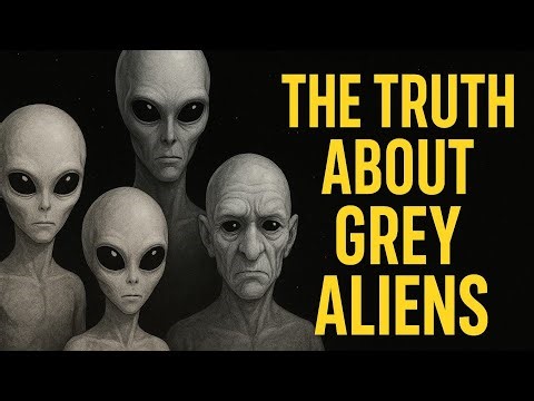 The Truth About Grey Aliens: 5 Most Common Species Explained