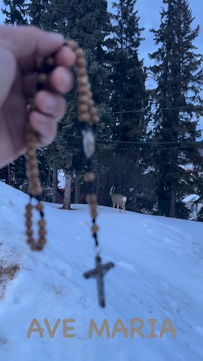 13K views · 3.4K reactions | ROSARY: POWERFUL WEAPON I will hold and keep you wherever I go #athabasca | Daily Gospel Reflection with Fr. Jhack | Facebook