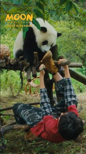 Moon, the Panda | Stream now + Blu-ray & DVD | 15 sec 9x16 | #panda #trailer #film