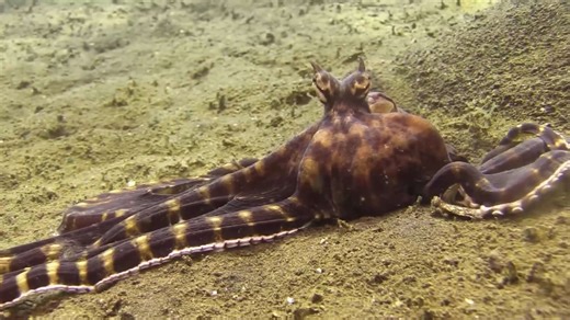 Biology facts that future generations might completely forget or never learn