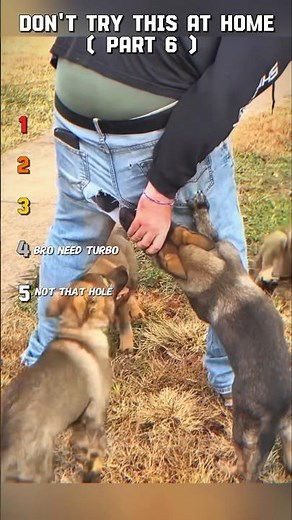 The best ranking of people funny moments [] #funny #shorts #trending