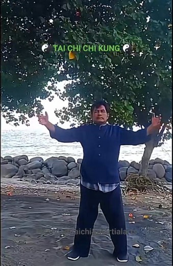☯️ TAI CHI CHI KUNG ☯️ The names of movements: First version: 1....