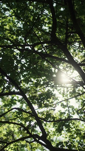 1.7K views · 93 reactions | This was Awakenings Spring Festival 2023 - Your presence and enthusiasm made it an unforgettable and exhilarating ride We are so thrilled that we're only seven weeks away from Awakenings Summer Festival 2023! Tickets: https://awak.enin.gs/3OjPAY6 | Awakenings | Facebook