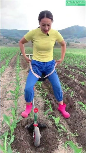 🌾⚙️ Fast Soil Shaping Between Crop Rows with a Pull Cultivator