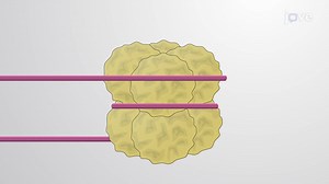 ビデオ: ヌクレオソーム