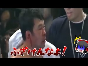 桜庭もブチギレ！ 反則で炎上した格闘技の試合4選 マイクタイソン 亀田大毅 vs 内藤大助 桜庭和志 vs 秋山成勲 青木真也 vs 廣田瑞人 反則試合 MMA 総合格闘技 ボクシング【ゆっくり解説】