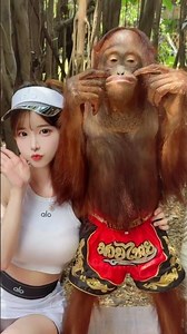 Naughty Orangutan's Sweet Temperament at the Zoo
