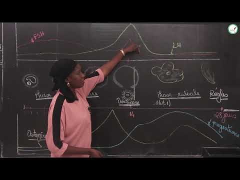 Course - Terminale L - SVT: Regulation of the functioning of reproductive systems / Ms. Cissé / S3