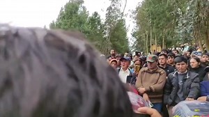 70K views · 755 reactions | Chalamarca, artistas musicales interpretaron una emotiva pechada durante el sepelio de don Alfredo Saavedra Hoyos y su compañero, quienes perdieron la vida trágicamente sepultados en una mina de carbón, dejando un vacío irreparable en el corazón de sus seres queridos y la comunidad. | Ventana Informativa Digital | Facebook