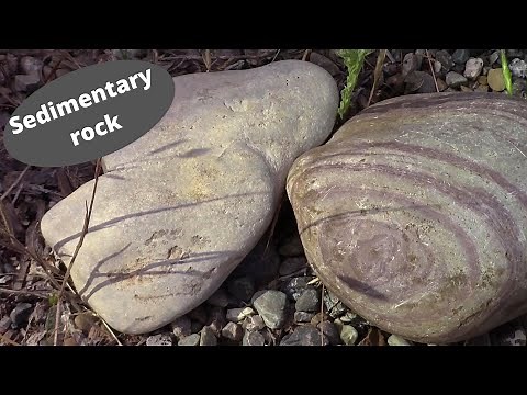 Weathering Processes and Sedimentary Rock - Learning Geology
